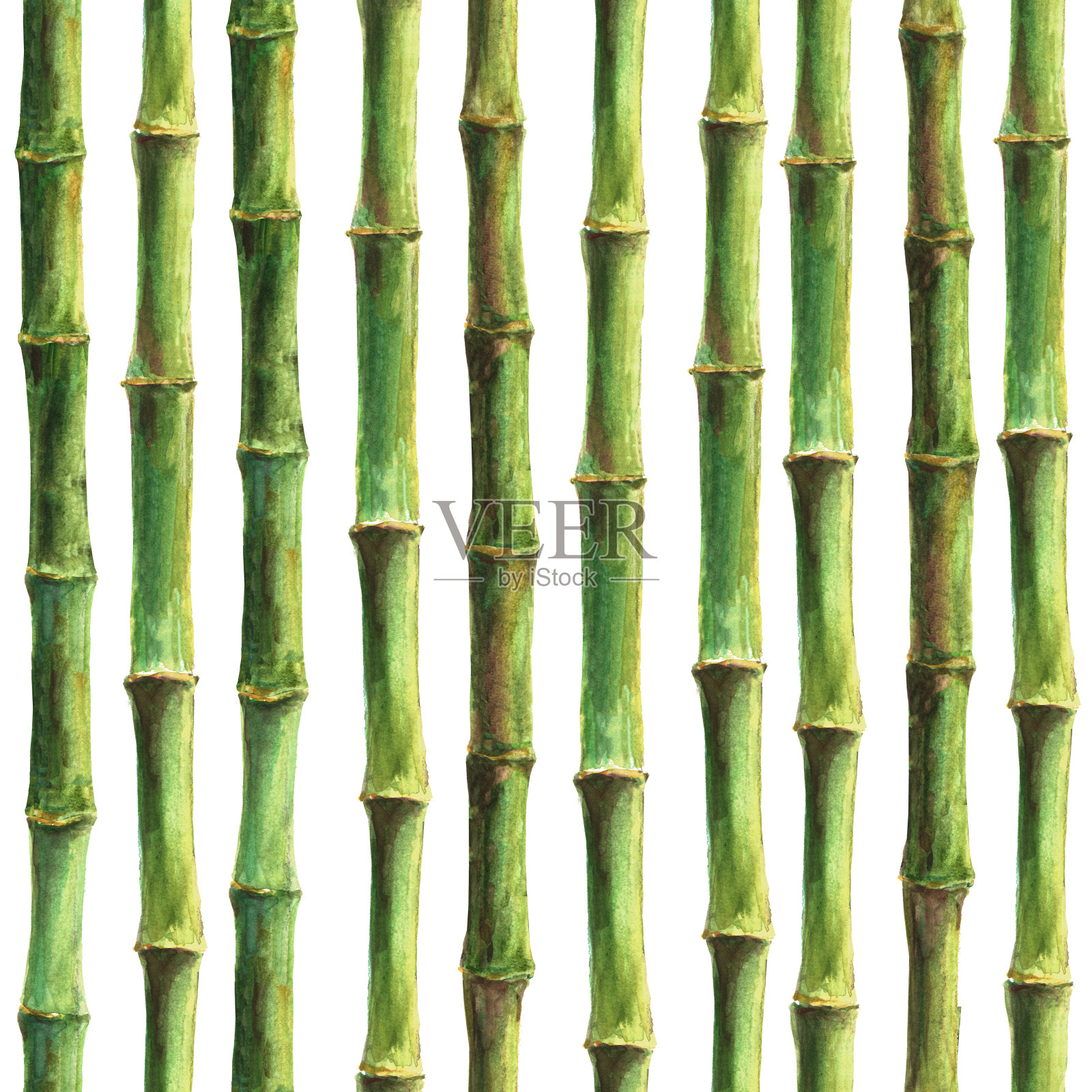 青竹茎无缝图案插画图片素材