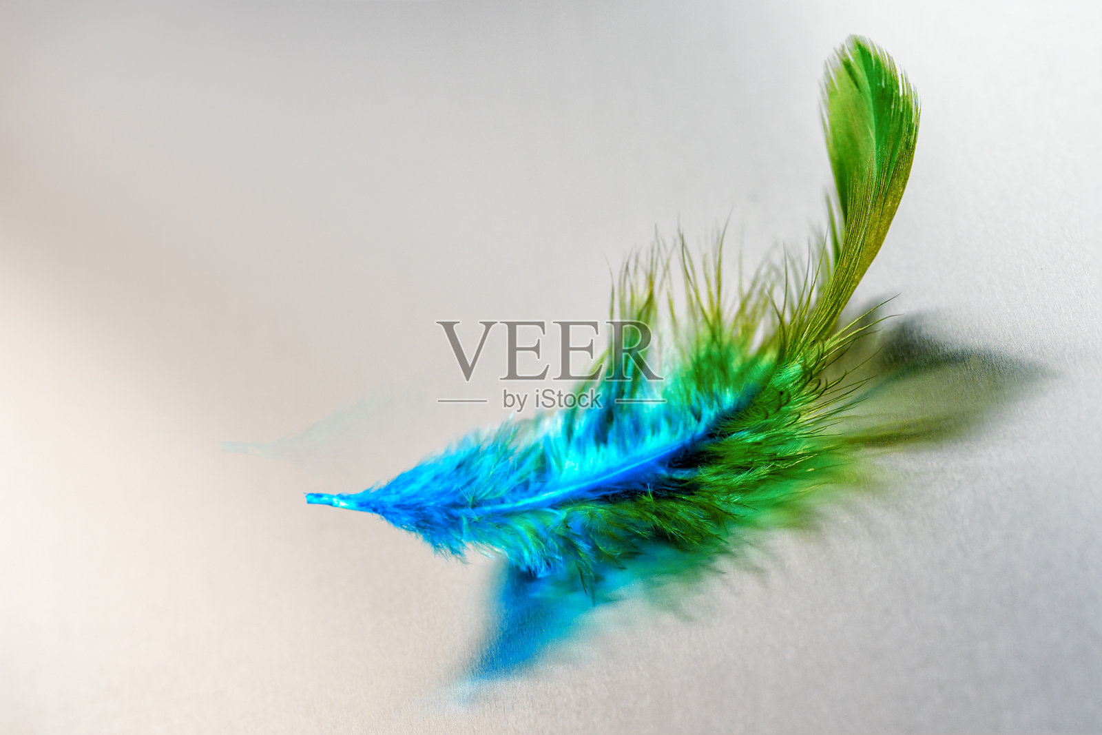 美丽的绿色羽毛在哑光金属表面与反射照片摄影图片