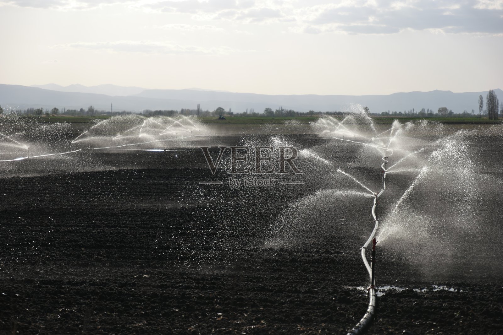 灌溉喷灌机在肥沃的农田上灌溉作物照片摄影图片