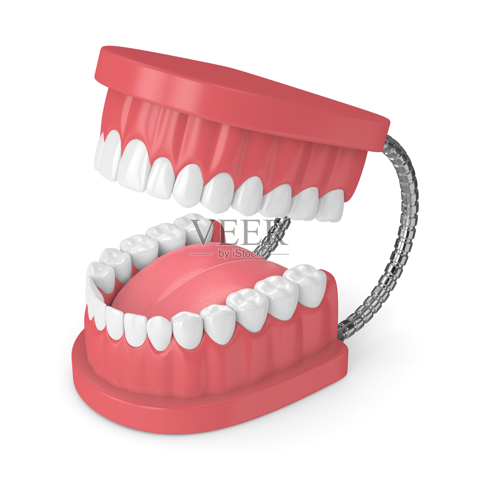 颚模型的3d渲染与牙齿在白色照片摄影图片