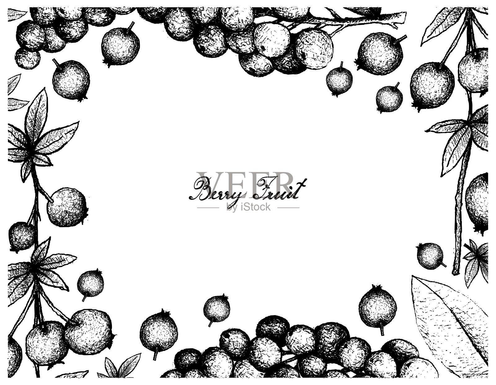 手画框架Calafate浆果和Antidesma Thwaitesianum水果插画图片素材