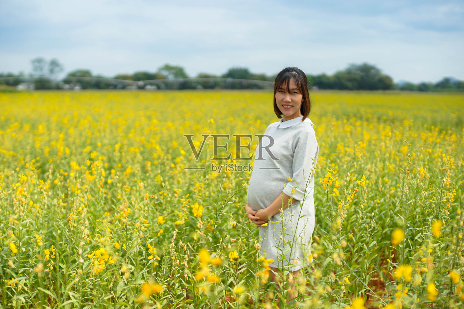 一个孕妇站在黄花丛中，双手摸着肚子照片摄影图片