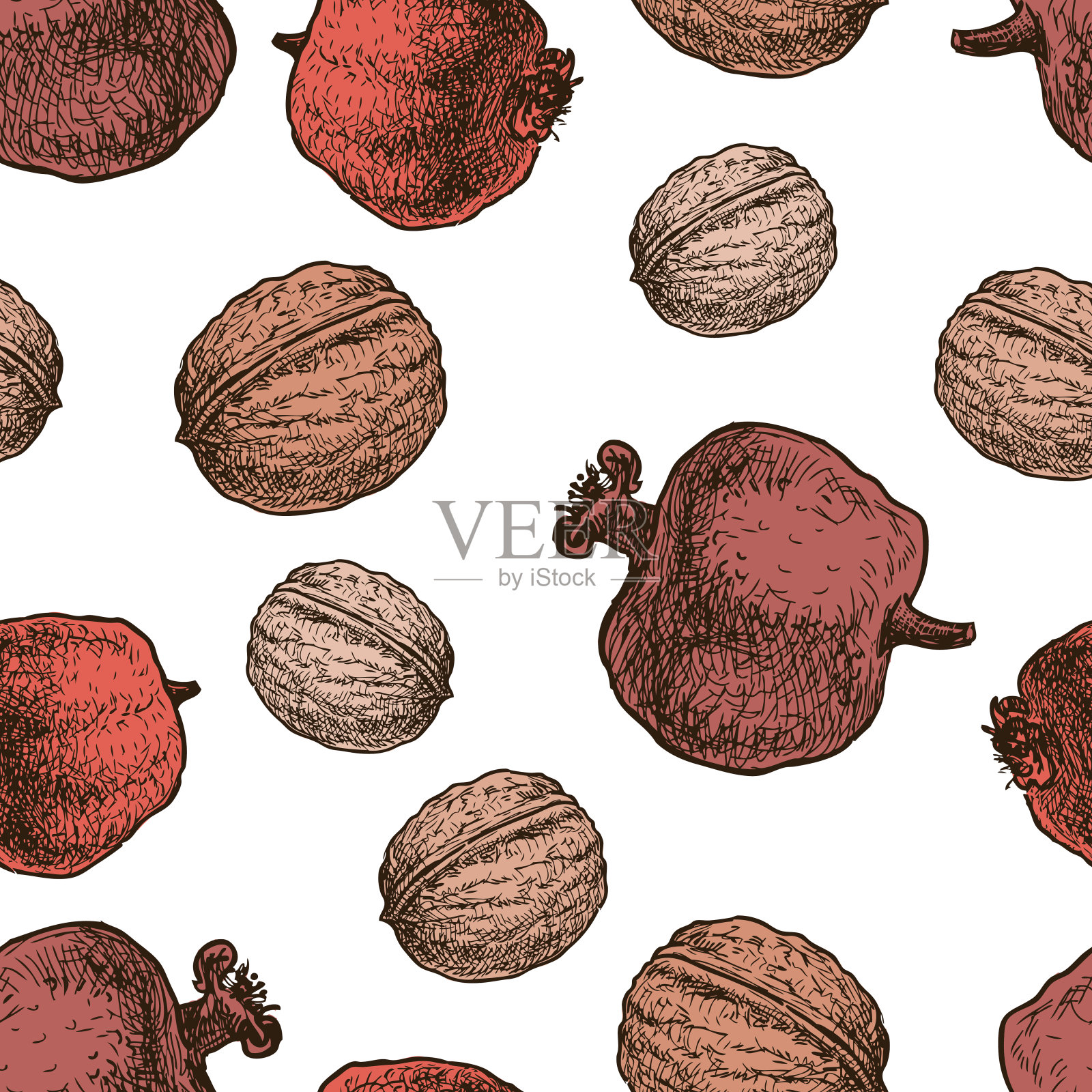 野生石榴和核桃的果实图案插画图片素材