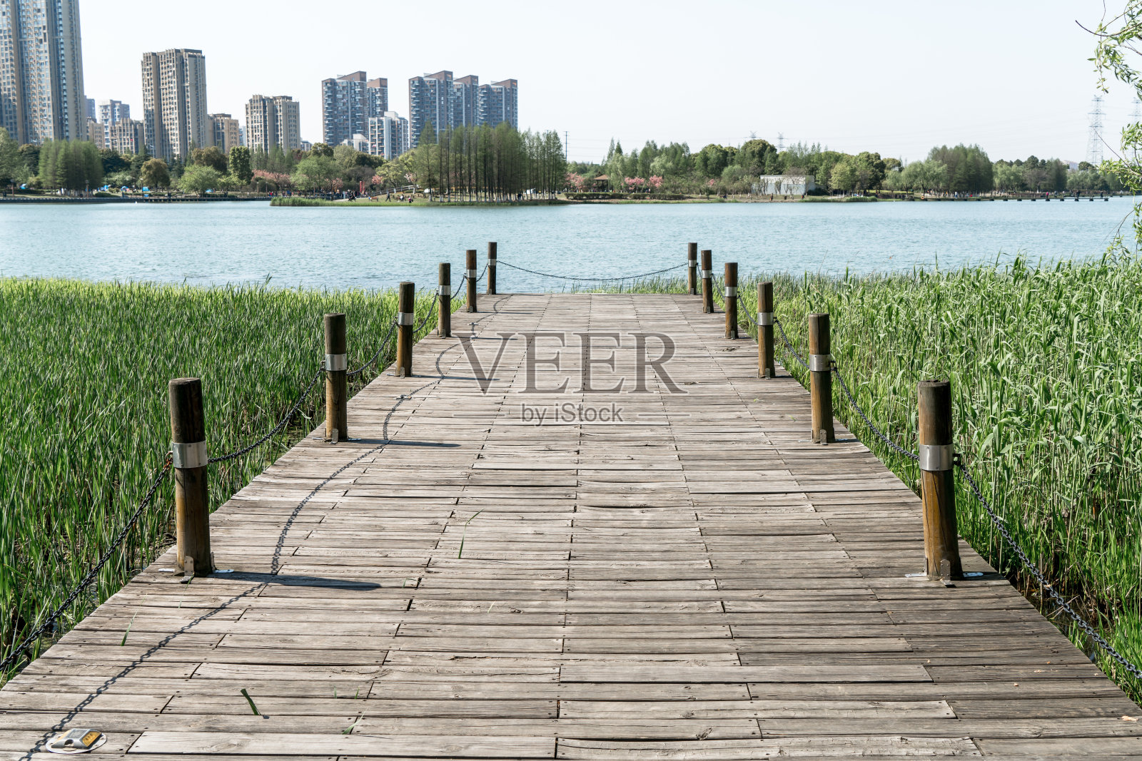 公园里的湖，木甲板为背景。照片摄影图片