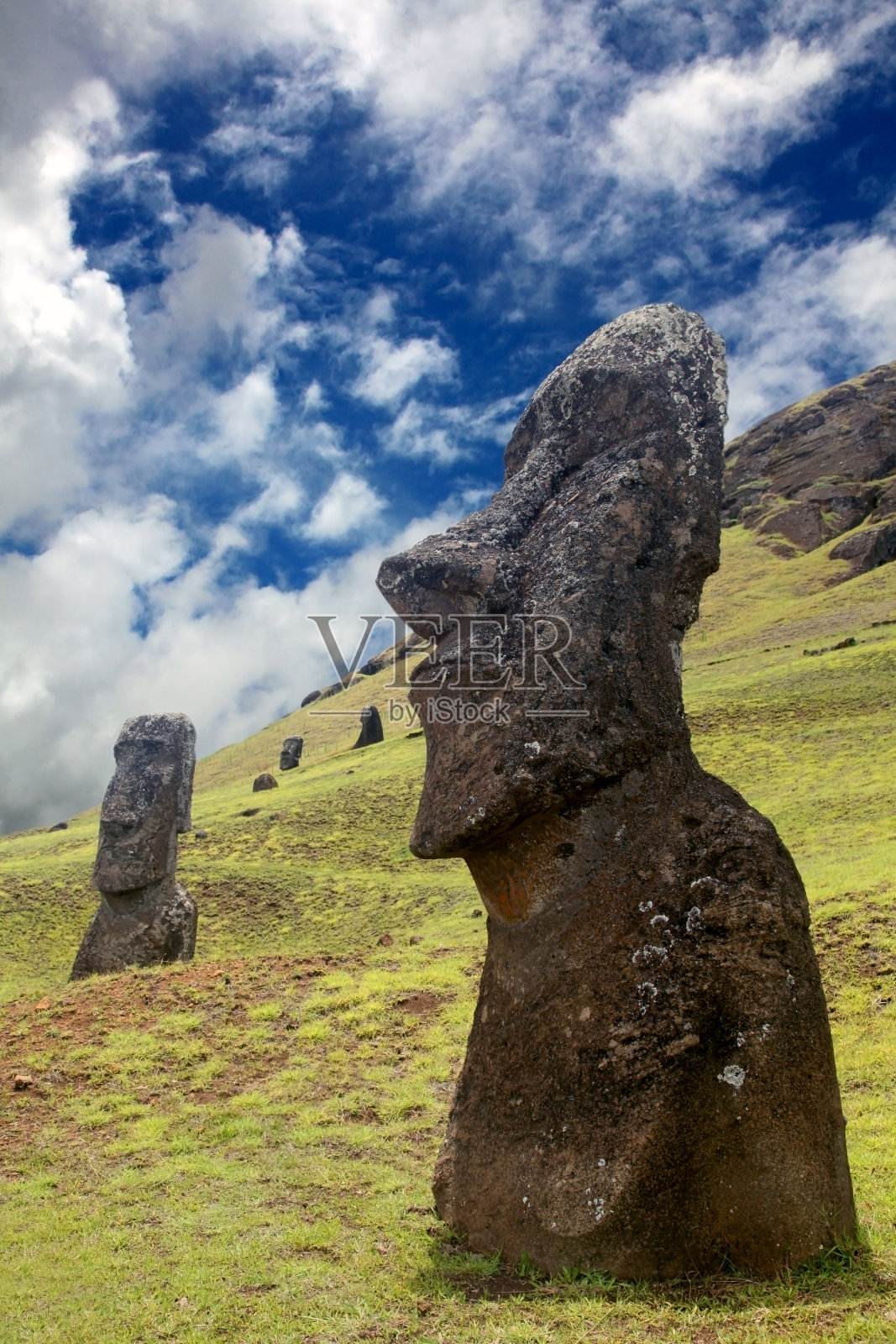 智利复活节岛，拉诺·拉拉库山坡上的摩埃石像，采石场为摩埃石像的雕刻提供了石头。照片摄影图片