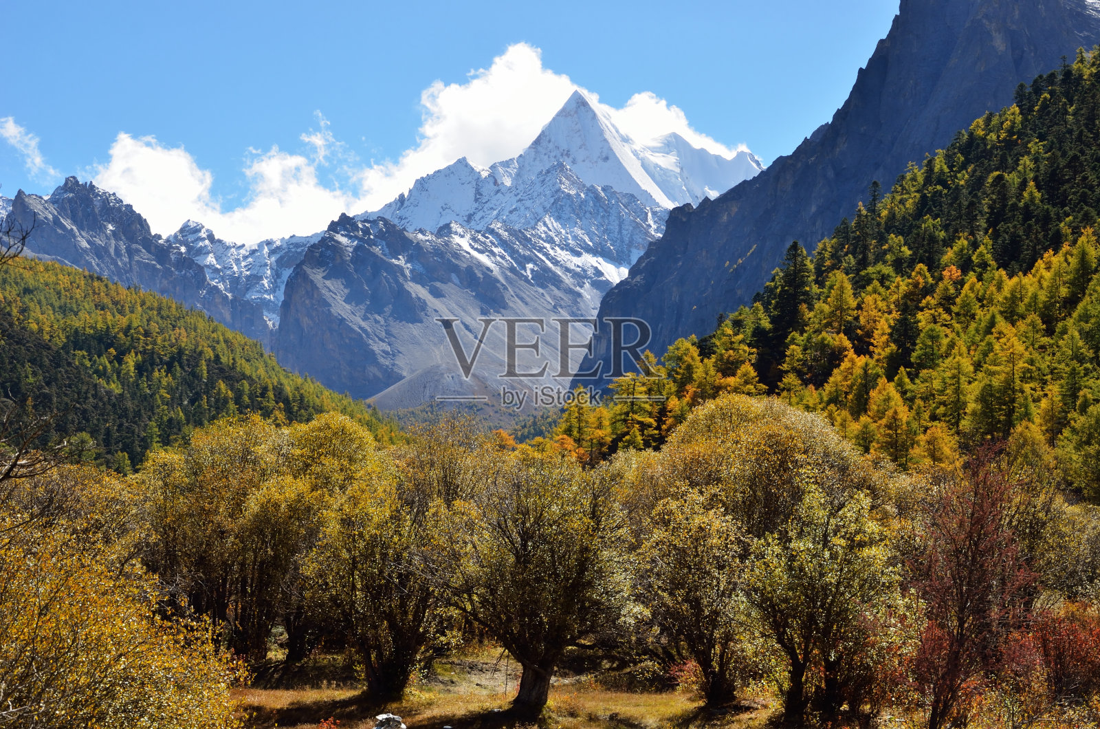 中国四川香格里拉亚丁国家自然保护区的标志性雪峰山在五彩缤纷的秋天照片摄影图片