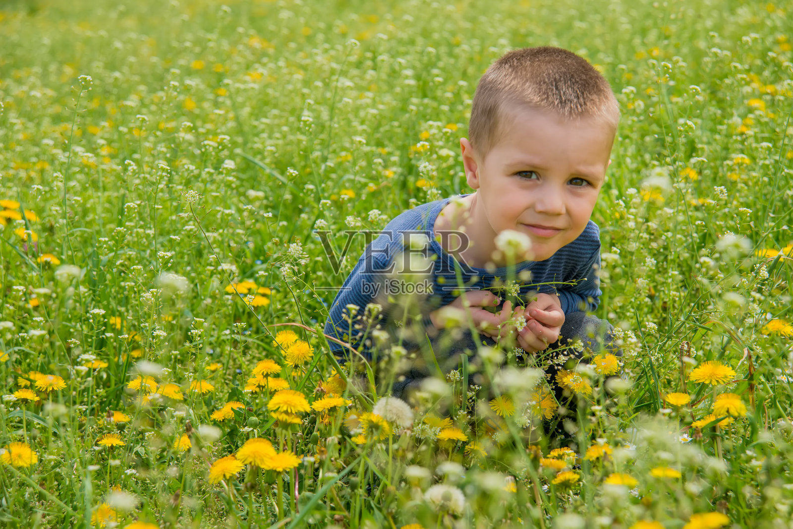 一个男孩在大自然中被草和蒲公英包围着照片摄影图片