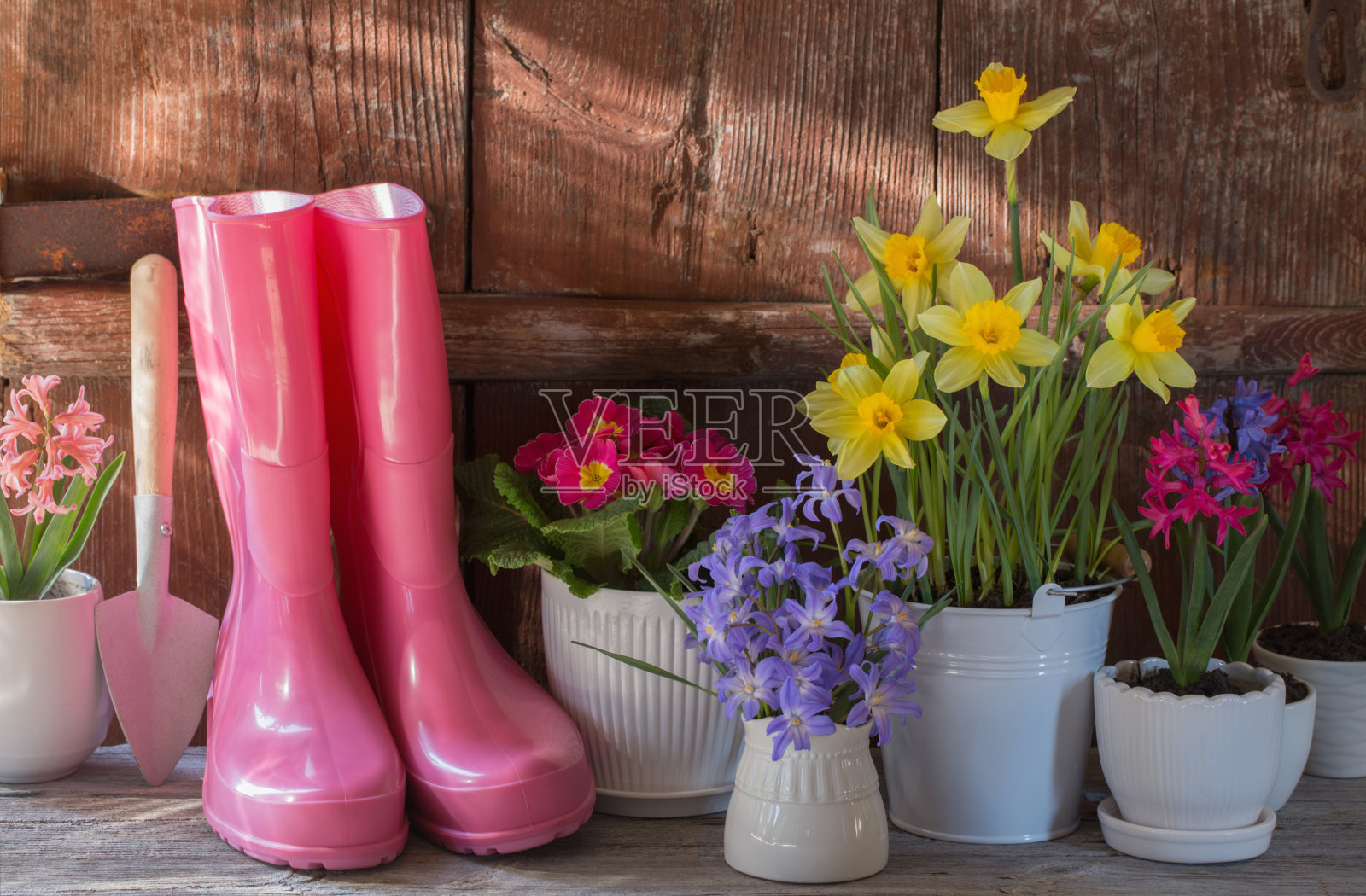 园艺工具和春天的花在木制的背景照片摄影图片