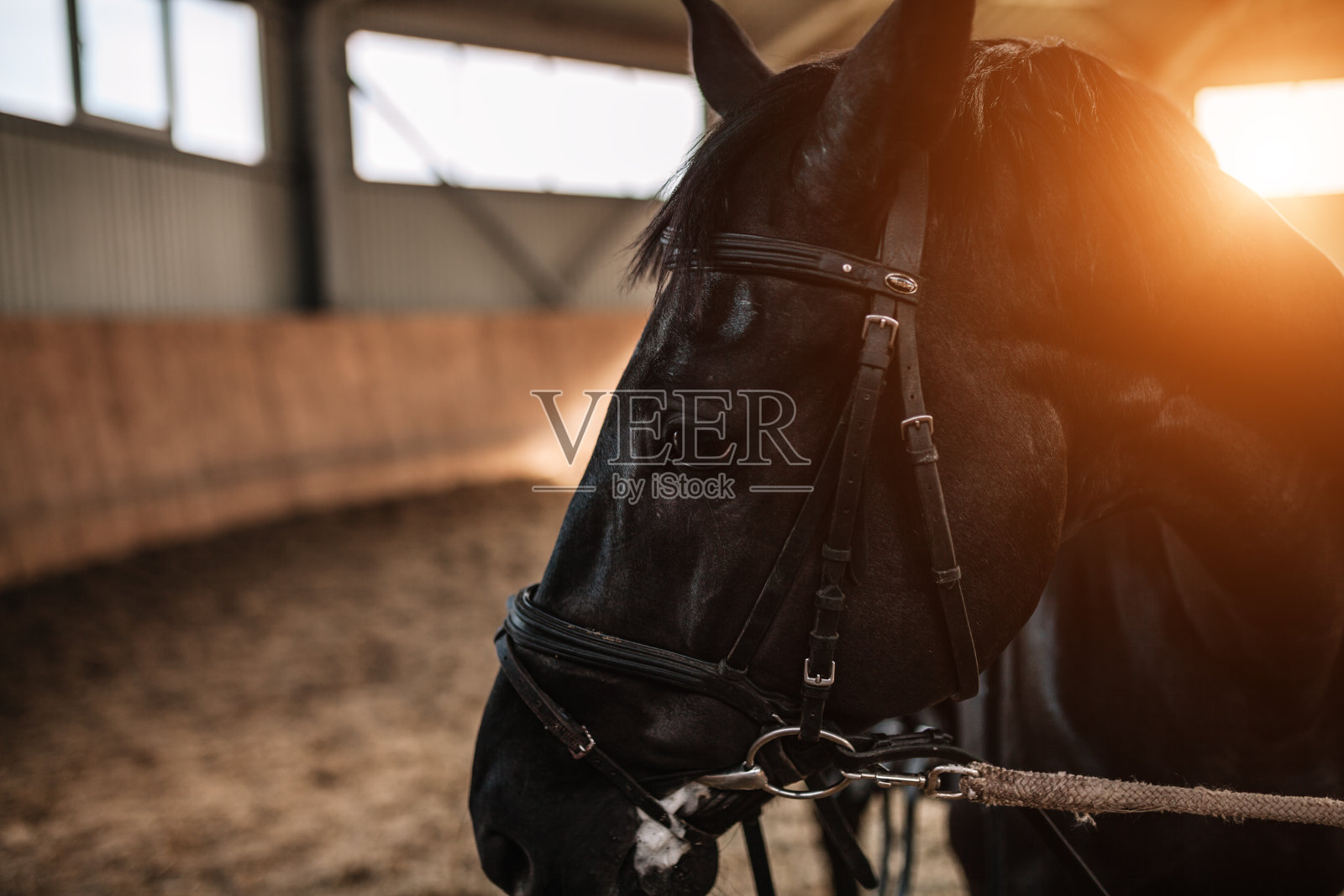 马厩的马鞍靠近，背景是阳光照片摄影图片