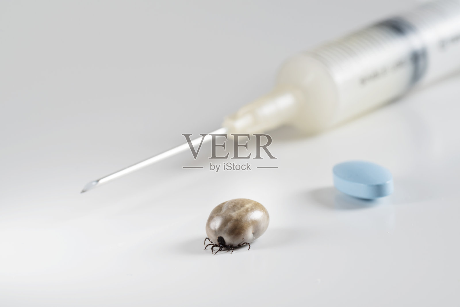 被感染的蜱虫，注射疫苗和蓝色抗生素药丸照片摄影图片