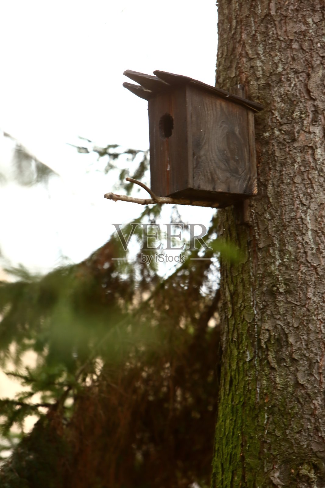 人们制作的一种繁殖箱，挂在树上帮助鸟类繁殖。照片摄影图片
