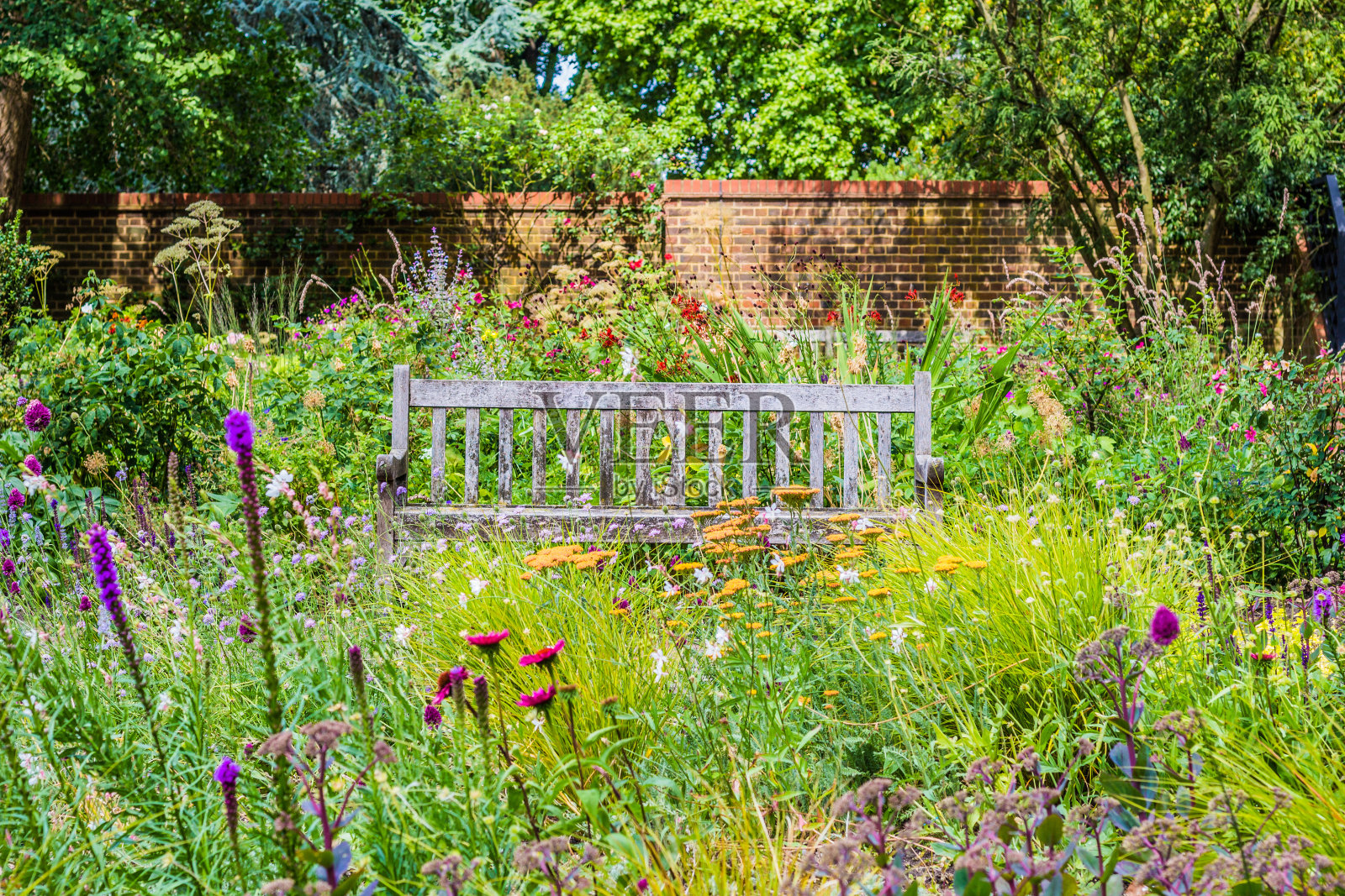 有木凳和野花的英式花园照片摄影图片