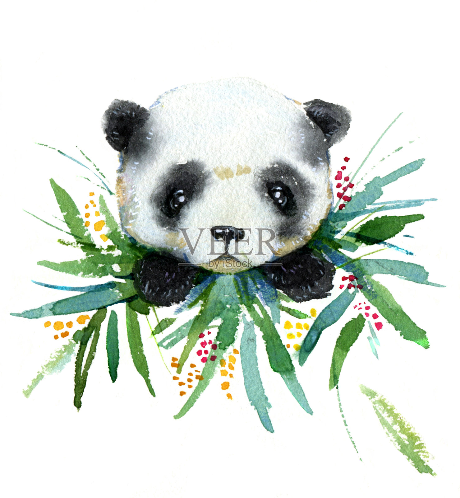 水彩手绘的可爱的小熊猫熊在竹叶插画图片素材