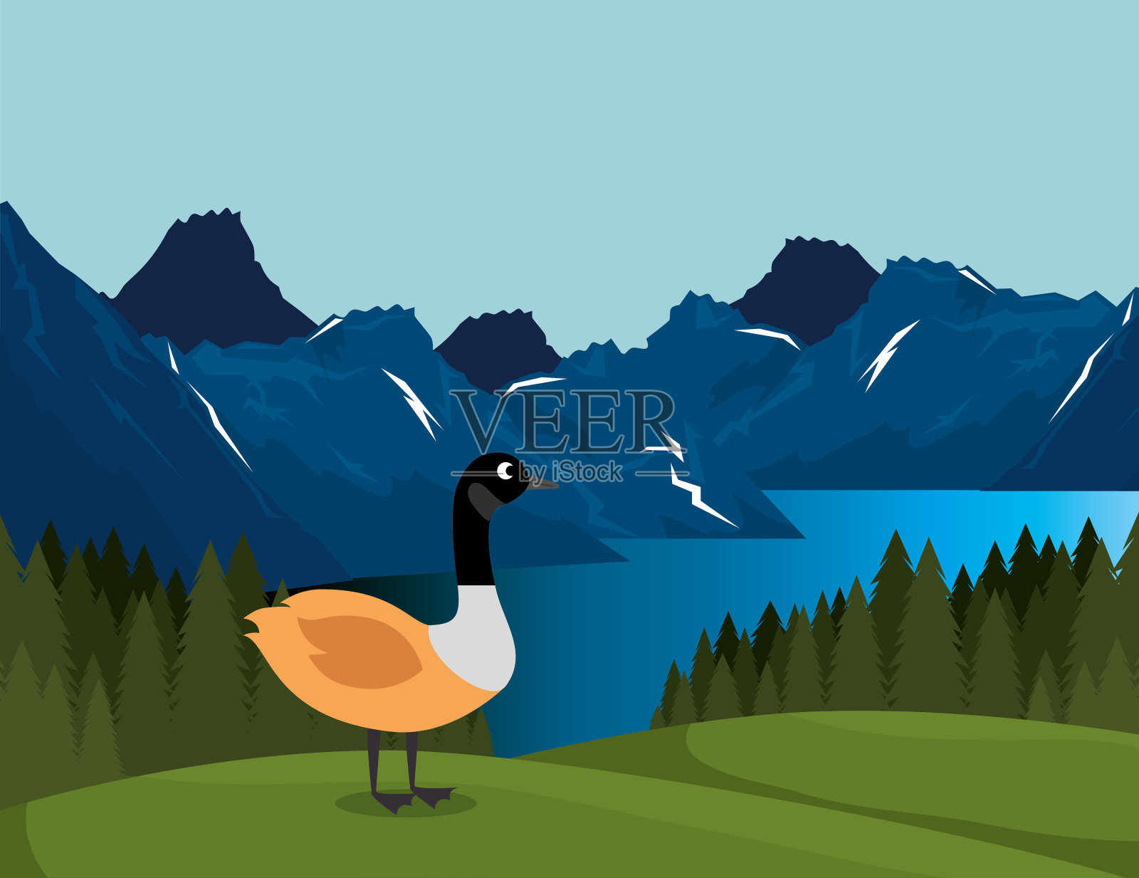 加拿大景观与鸭子的场景插画图片素材