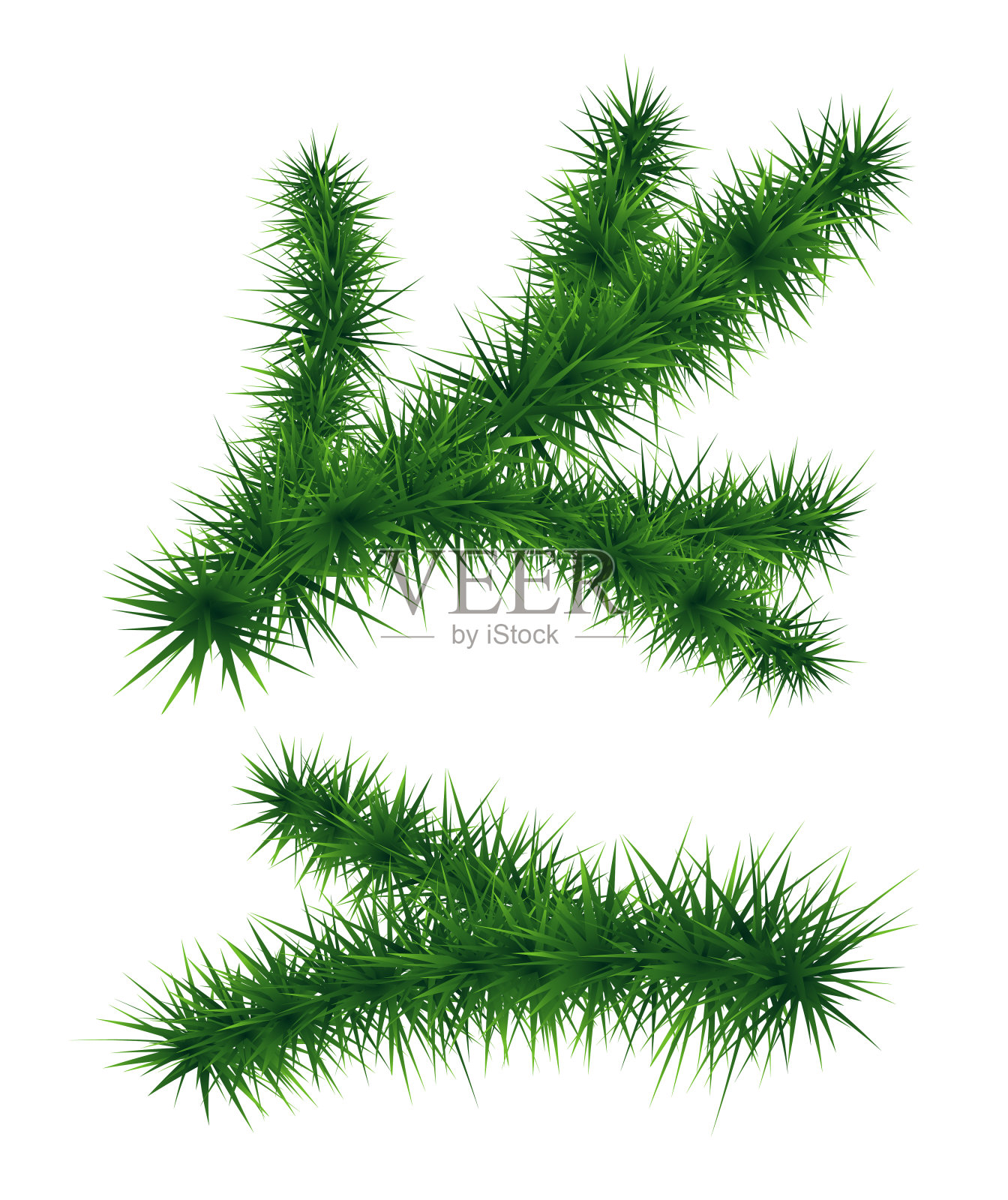 一组冷杉树枝。圣诞树。新年的象征。设计元素图片