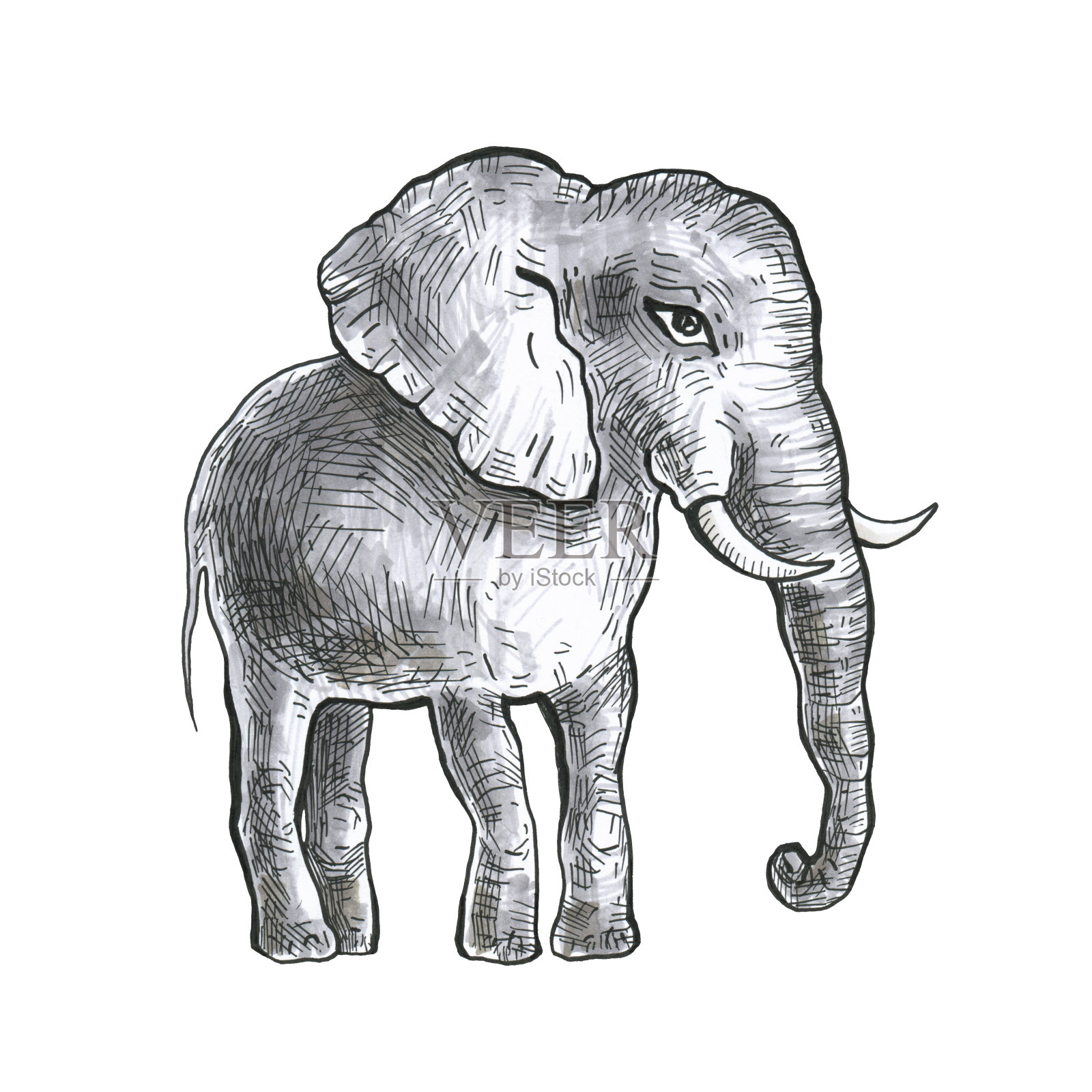 手绘的大象设计元素图片
