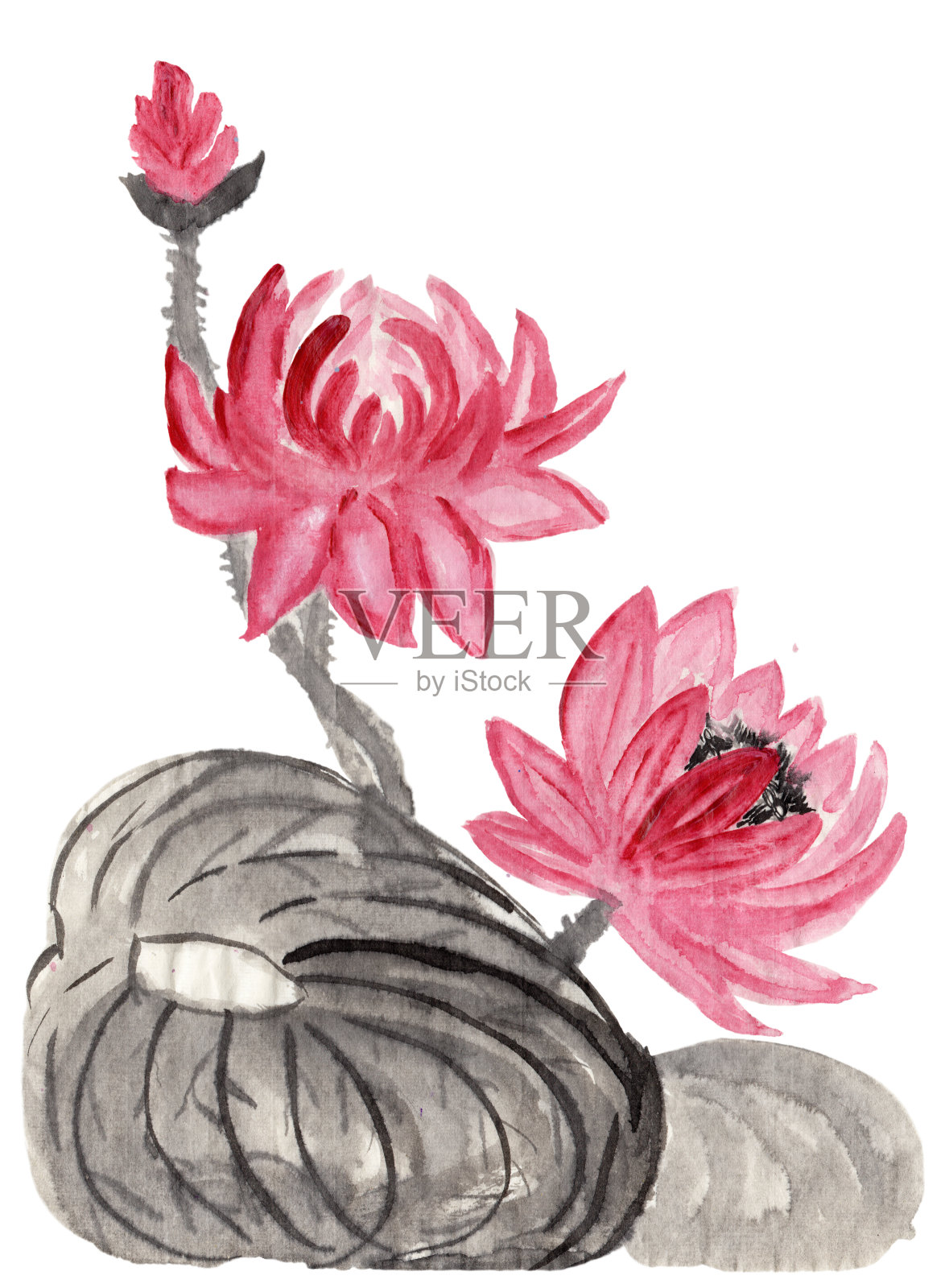 抽象花卉插画在日本民俗画风格的隅美。荷花和黑墨画的叶子孤立在白色的背景上。蜡染，书皮，t恤印花插画图片素材