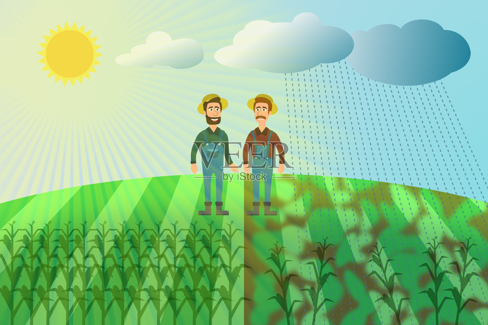 玉米丰收-两个农民在玉米地里插画图片素材