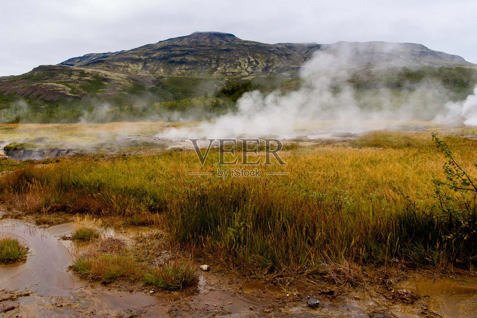 冰岛的间歇泉谷照片摄影图片