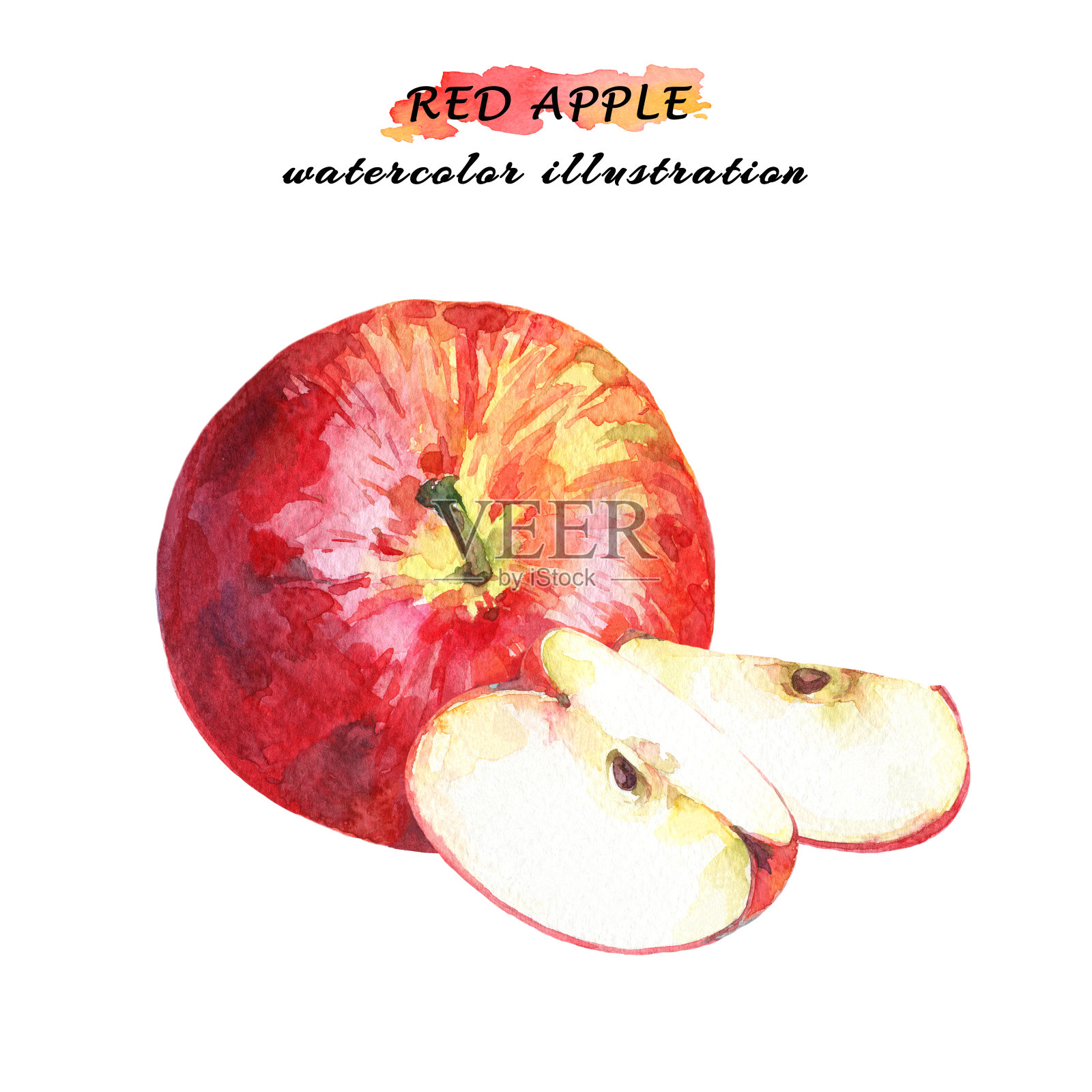 成熟的红苹果，有两片孤立的白色背景。插画图片素材