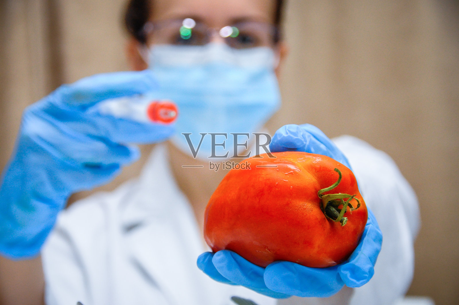 实验室-转基因食品照片摄影图片