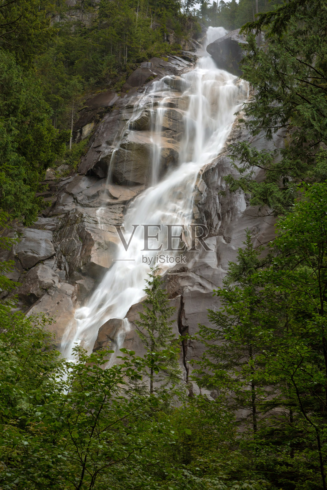 加拿大不列颠哥伦比亚省斯阔米什省公园的香农瀑布照片摄影图片