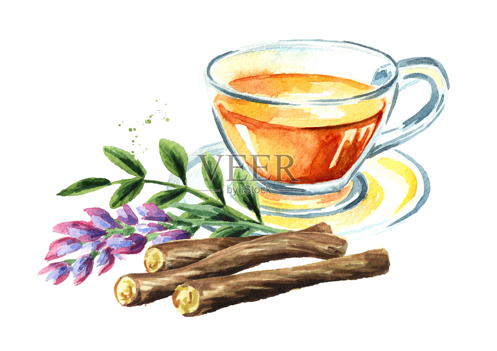 甘草茶，花和根，健康饮品的概念。水彩手绘插图孤立的白色背景插画图片素材