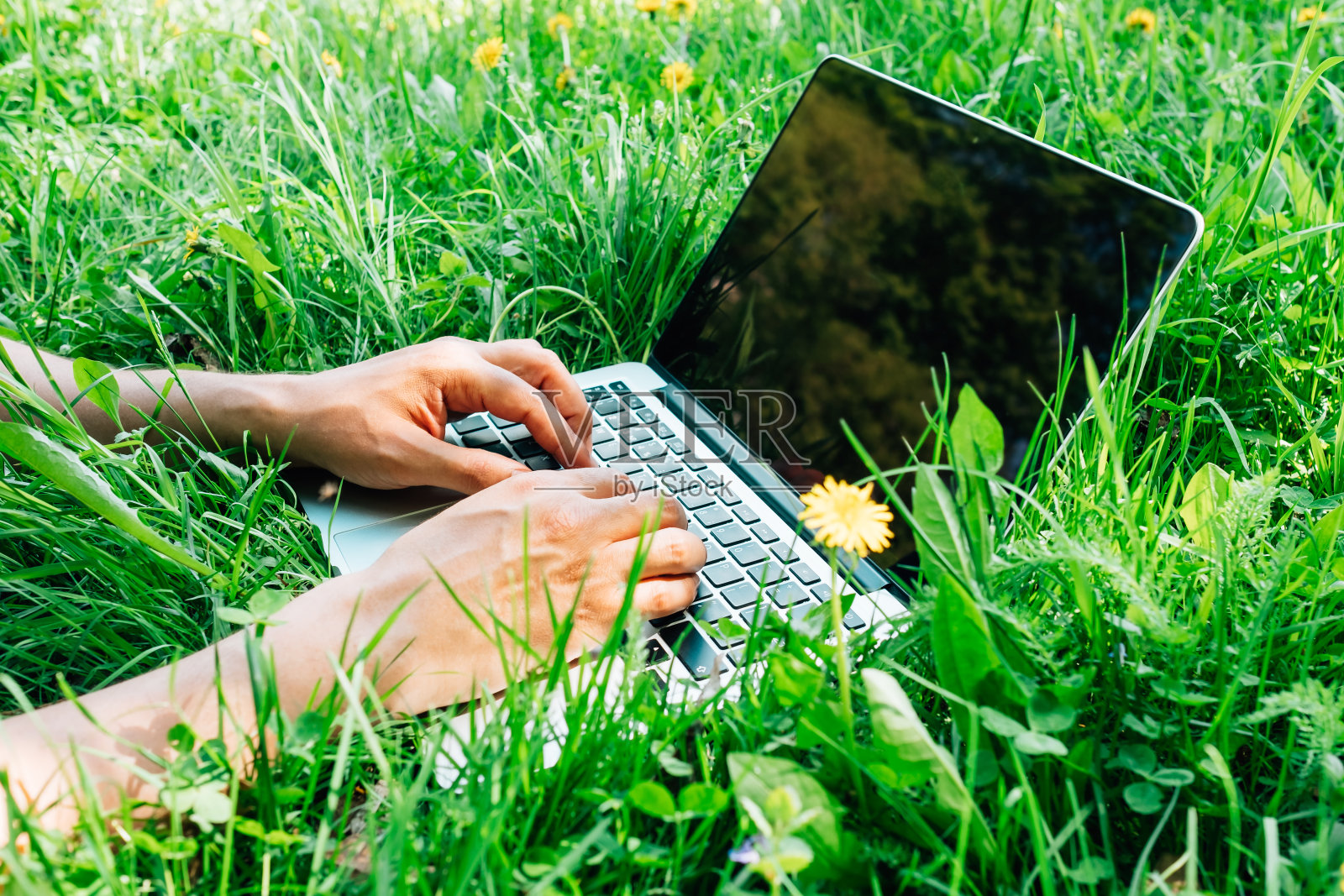 近距离的手在键盘上。在城市公园的绿色草地上工作的人的笔记本电脑。户外办公概念照片摄影图片