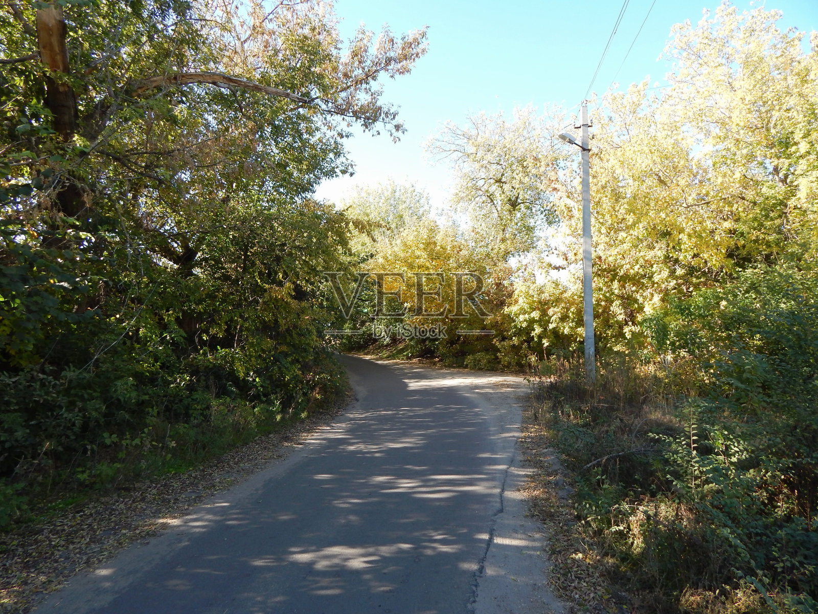 夏天的乡村公路。柏油路穿过森林。路边的落叶树。照片摄影图片