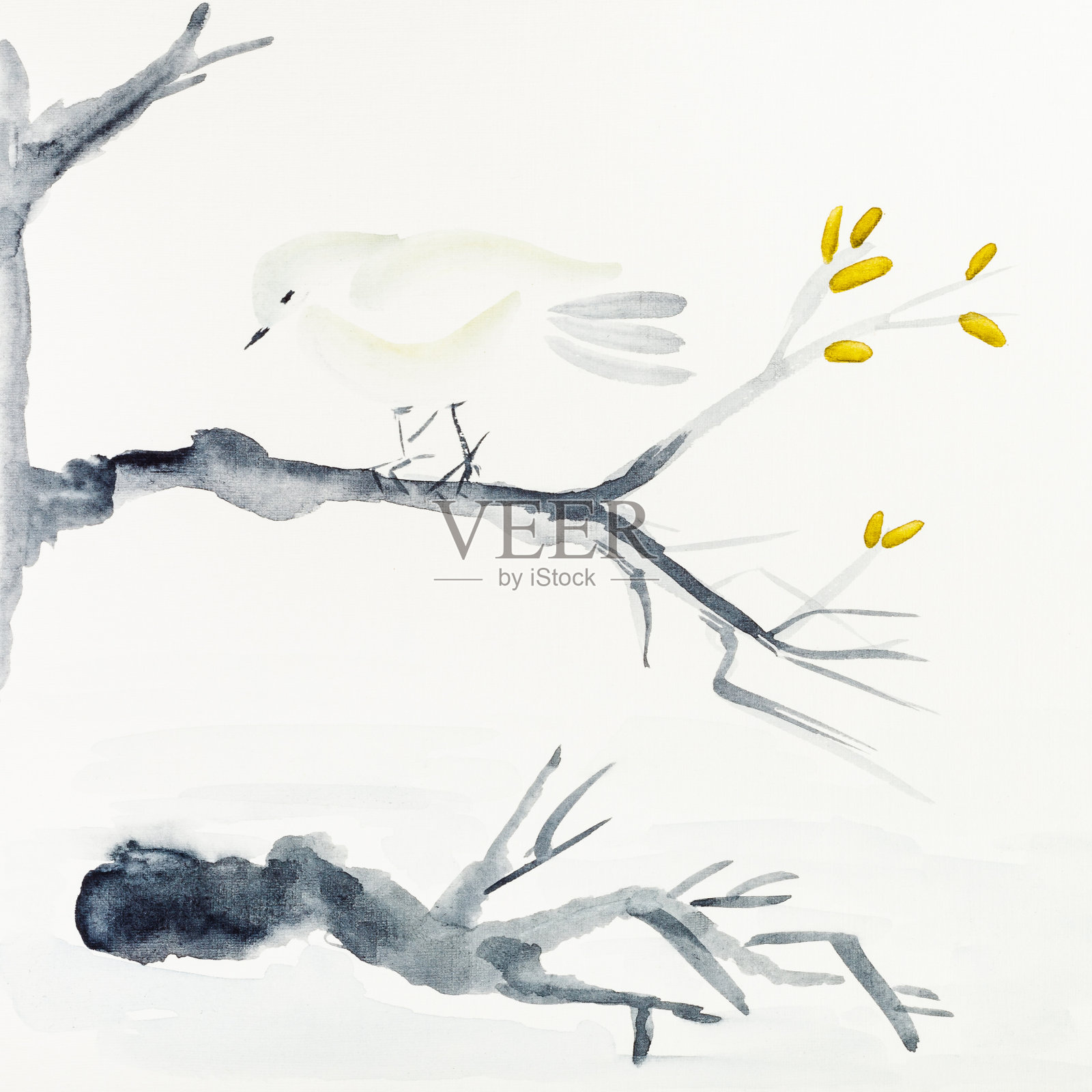 用黑色水彩画树枝上的鸟插画图片素材