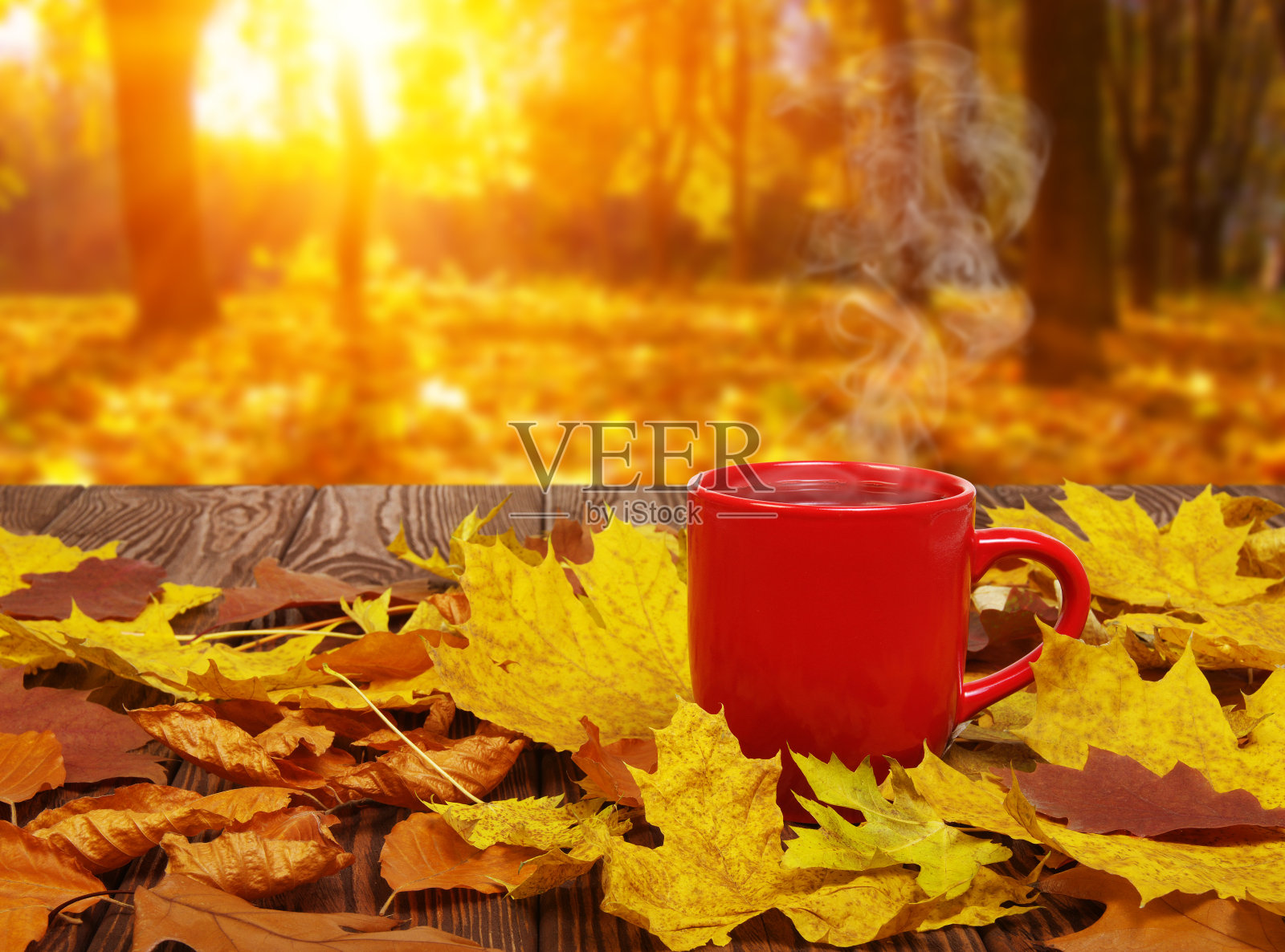 秋叶和一杯热气腾腾的咖啡。照片摄影图片