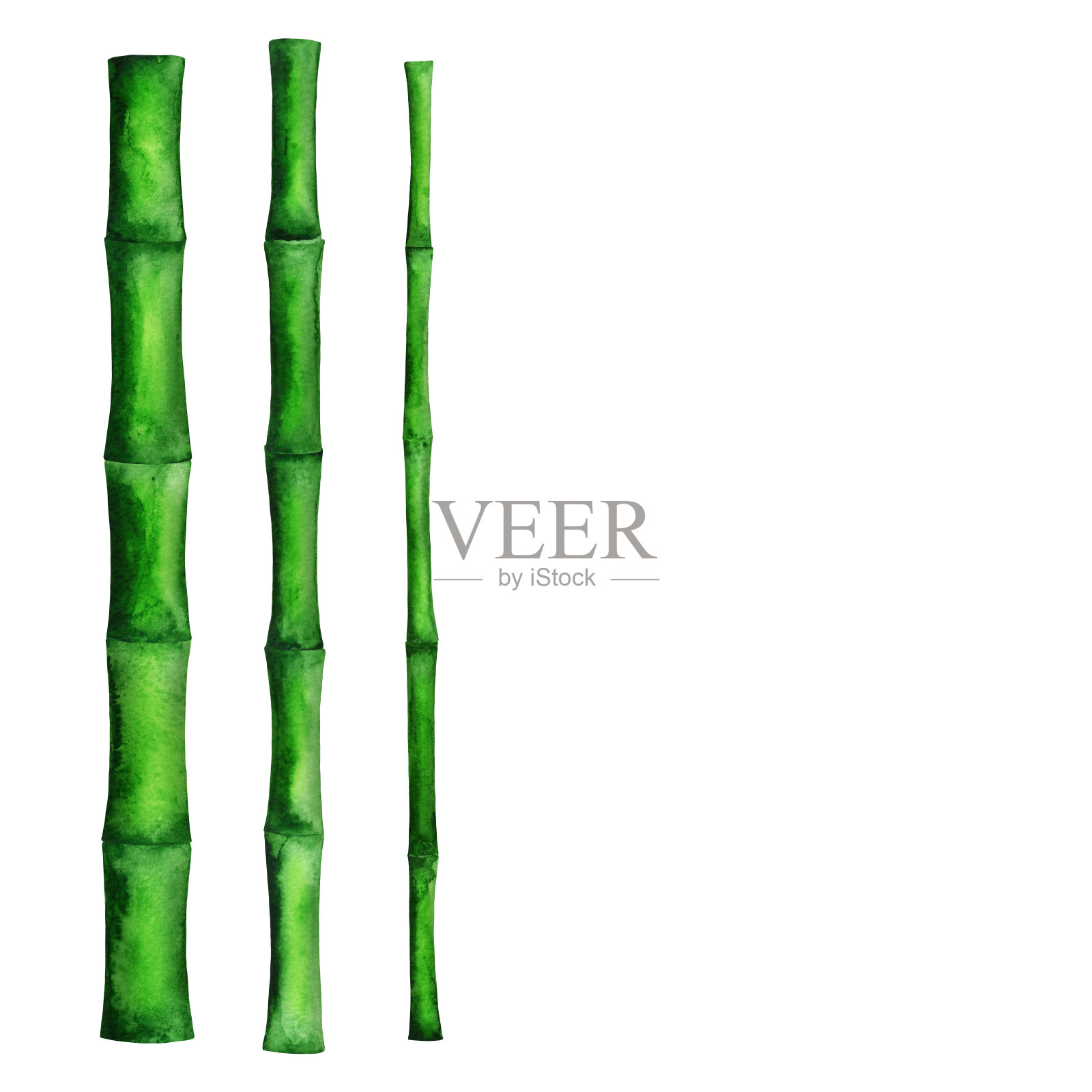 水彩青竹树，树干固定设计元素图片