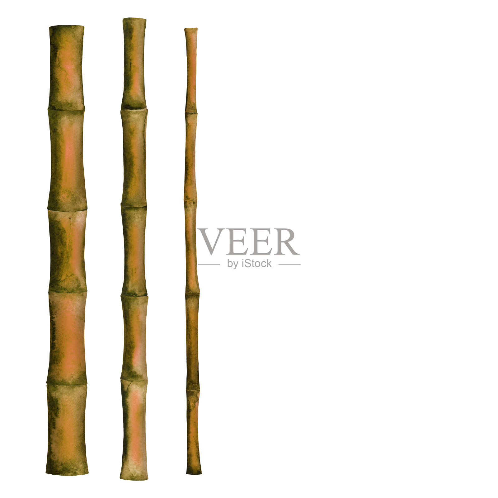 水彩竹枝，树木，树干，筷子插画图片素材