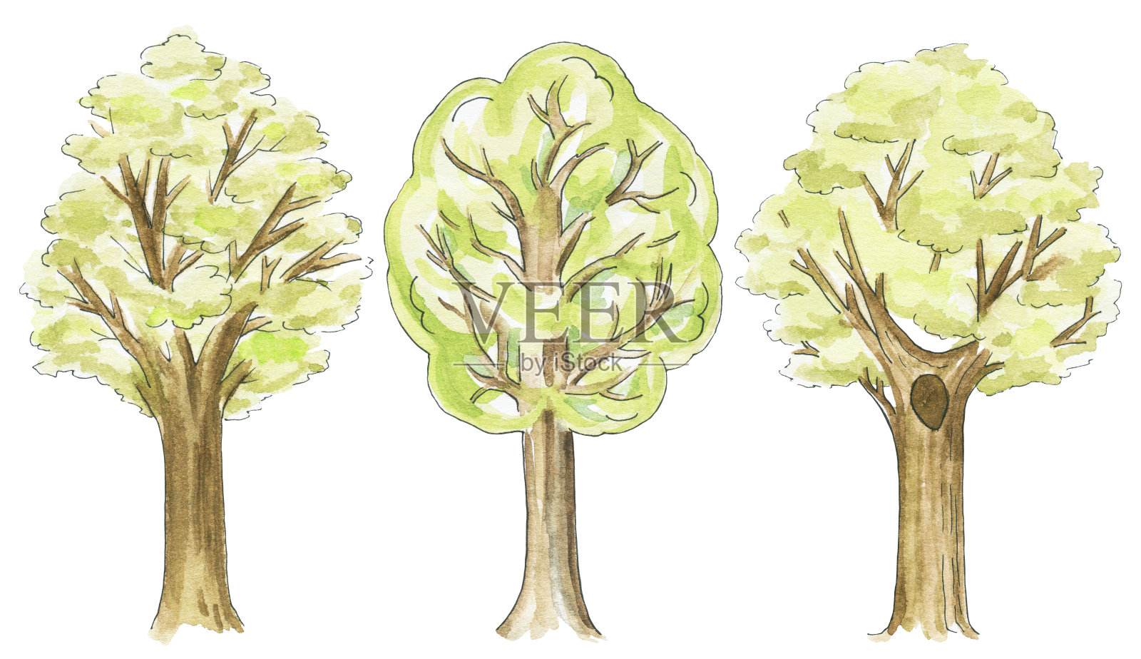 水彩画三种不同的树木设计元素图片