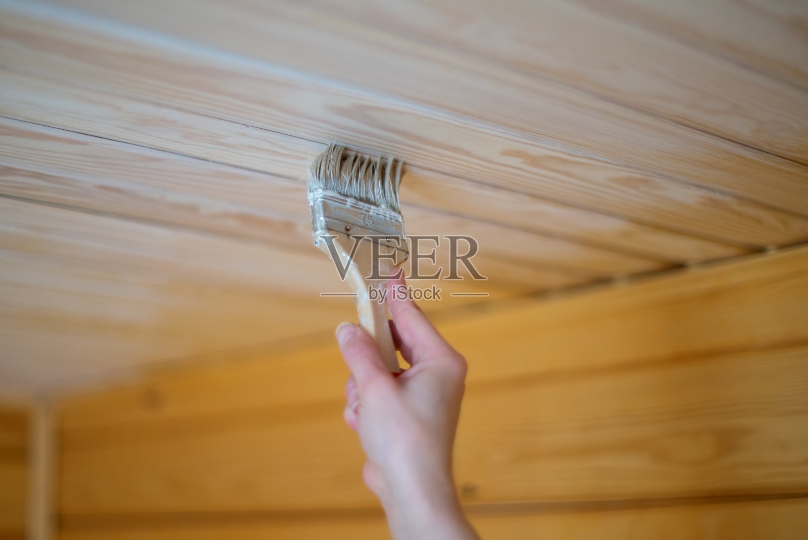 在房屋建造过程中，女性用平底刷子为木质天花板上色。照片摄影图片