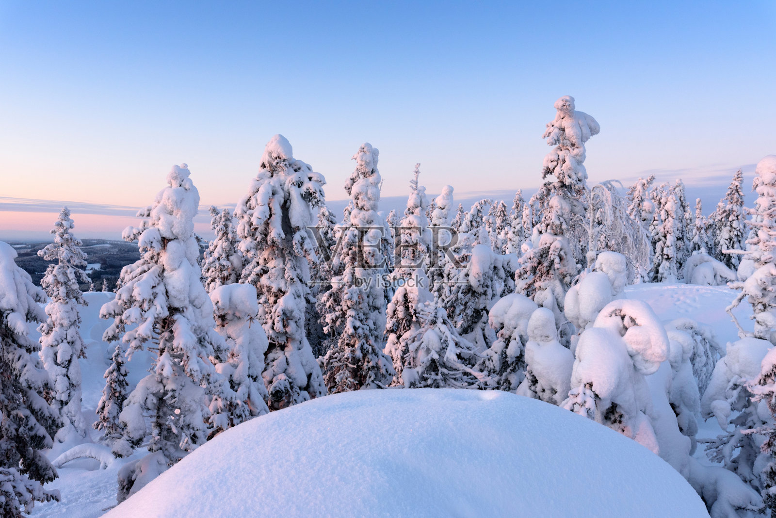 芬兰科利国家公园的冬季景观照片摄影图片