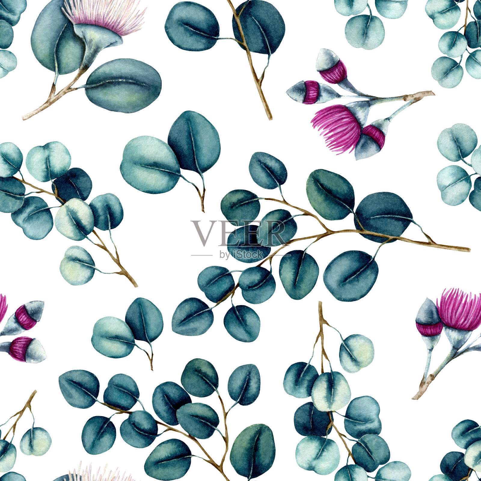 无缝图案的水彩桉蓝叶和花插画图片素材