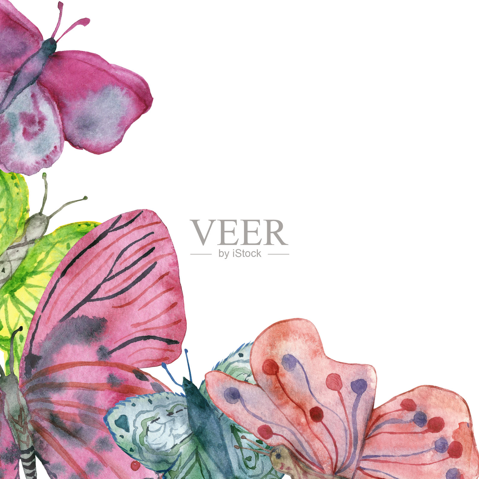 彩色蝴蝶的水彩横幅，孤立在白色的背景。插图。插画图片素材