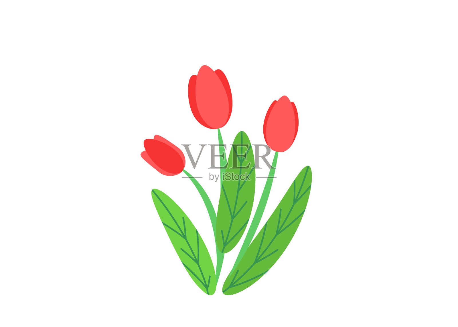 简单的花束向量与春天花园盛开的鲜花插图。时尚的花，春天的自然植物元素孤立在白色的背景在最小的风格设计元素图片