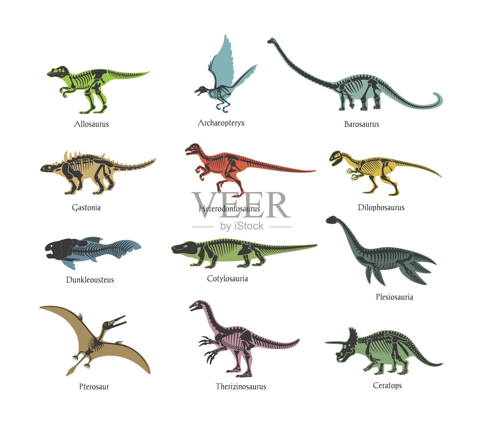 史前掠食性恐龙的骨骼。野生动物骨骼剪影恐龙。插画图片素材