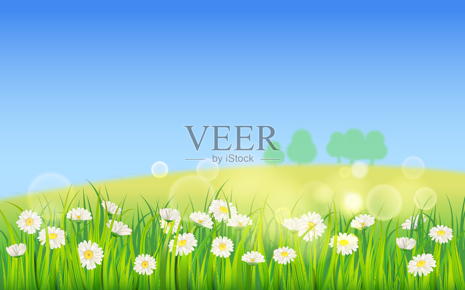 模板背景春天的田野鲜花的雏菊和绿色多汁的草，草地，蓝天，白云。矢量，插图，孤立，横幅，传单插画图片素材