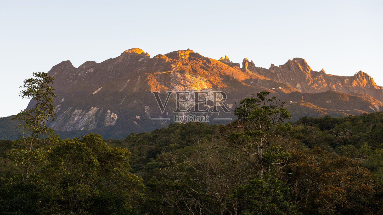 从基纳巴卢山公园的kota Kinabalu与阳光在岩石与绿色的树木。照片摄影图片