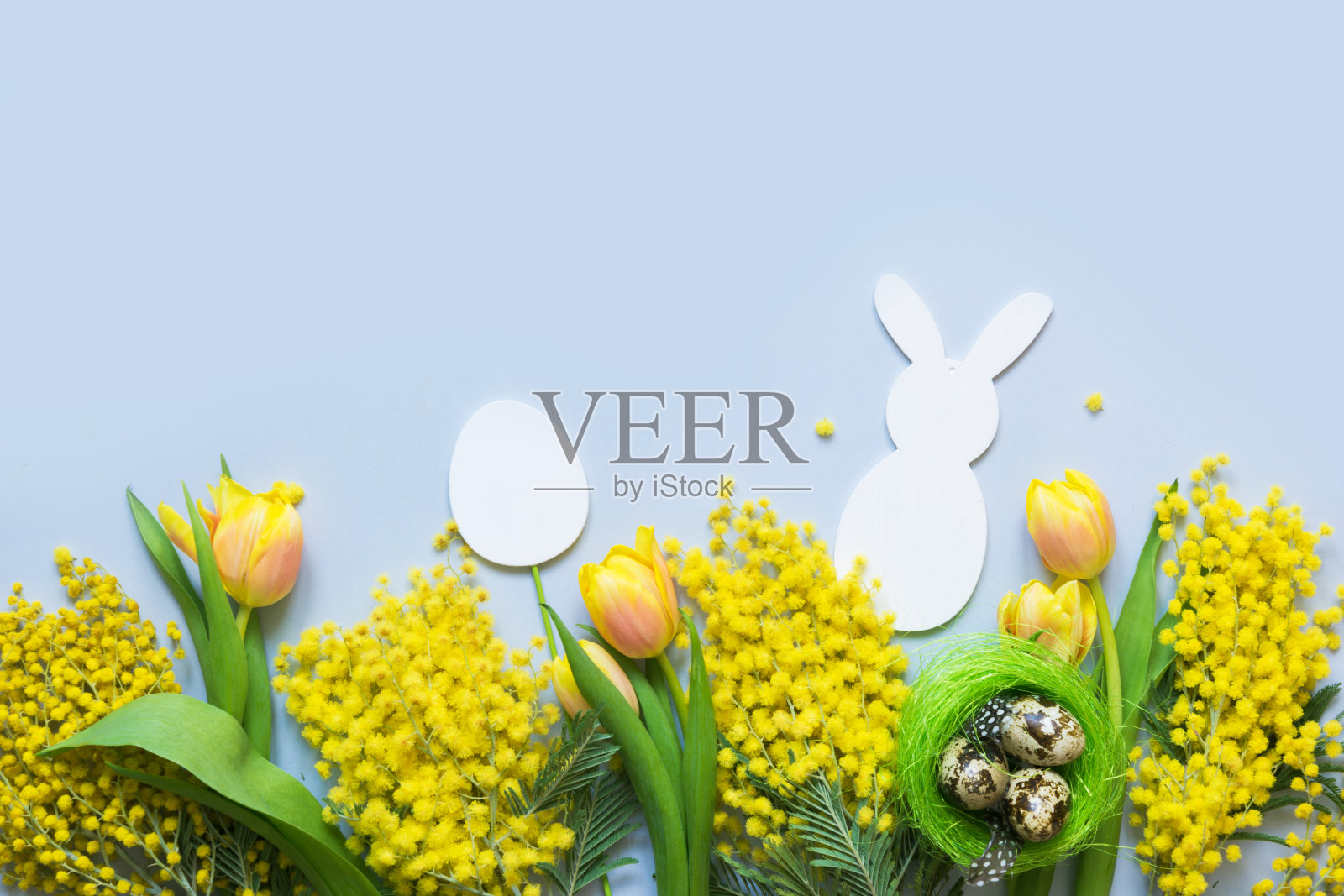 复活节和春天，黄色的郁金香，蓝色的含羞草。顶部视图与复制空间。照片摄影图片
