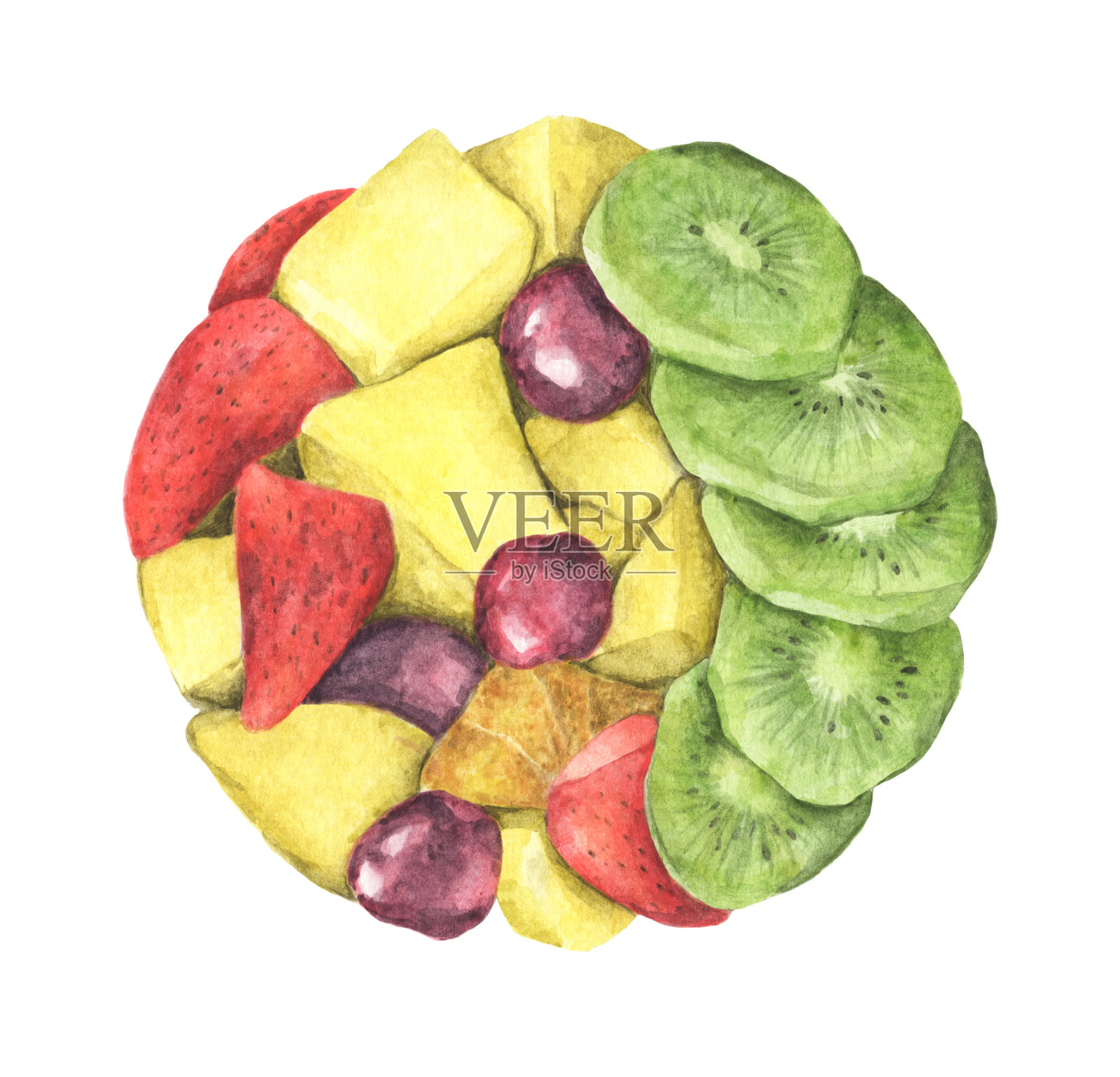圆圈的健康新鲜水果沙拉孤立在白色的背景。插画图片素材