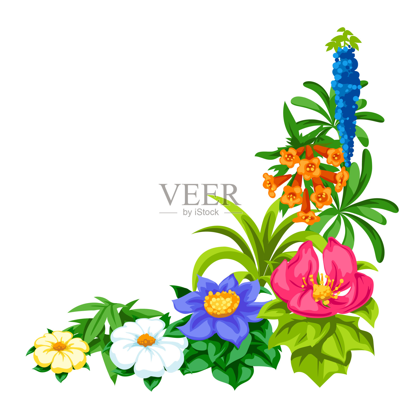 装饰角与热带花卉。奇异的热带植物。插画图片素材
