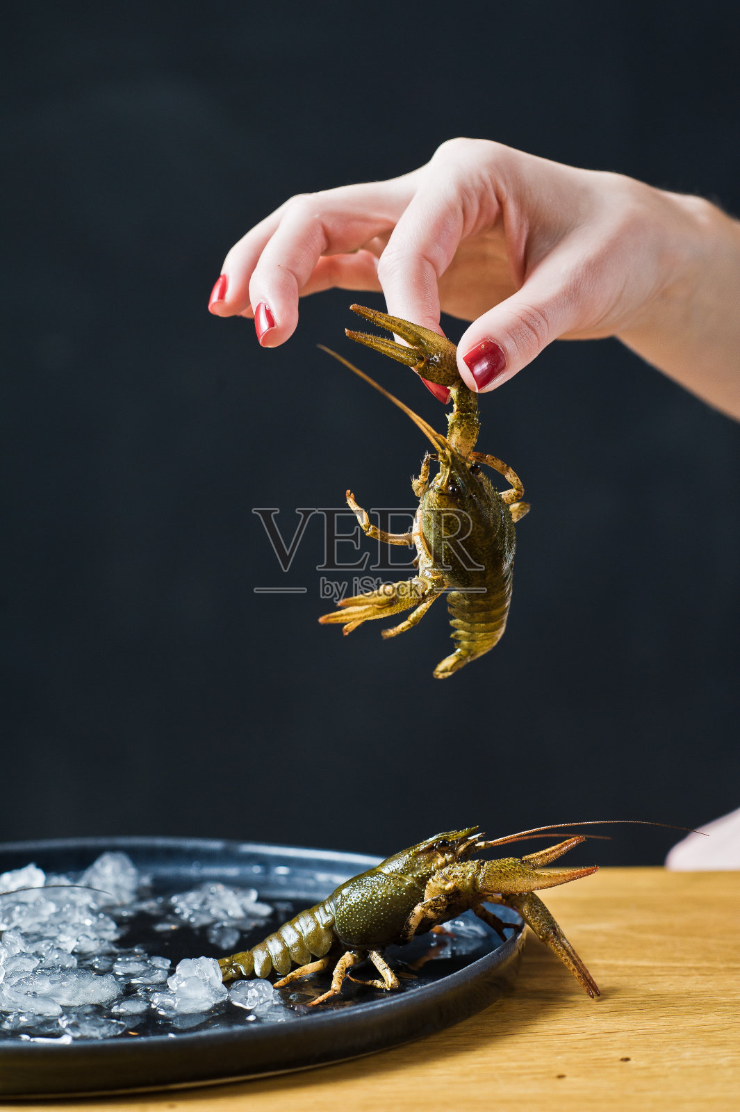 厨师拿着一只活小龙虾。黑色背景，侧视图，文本空间。照片摄影图片
