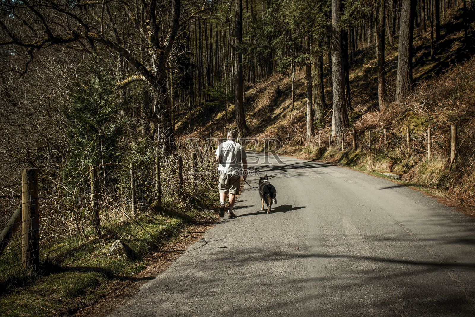 活跃的老年人离开相机和狗在森林轨道上照片摄影图片