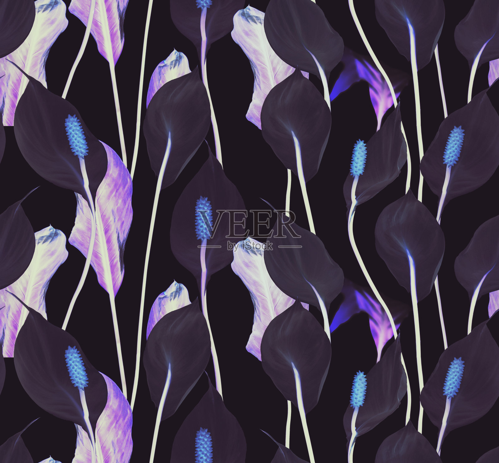 百合紫罗兰花无缝图案上的黑色插画图片素材