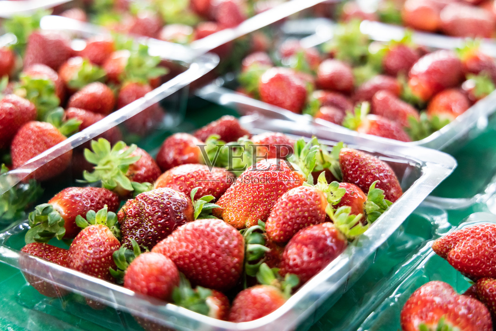 新鲜收获的有机草莓包装在农场出售照片摄影图片