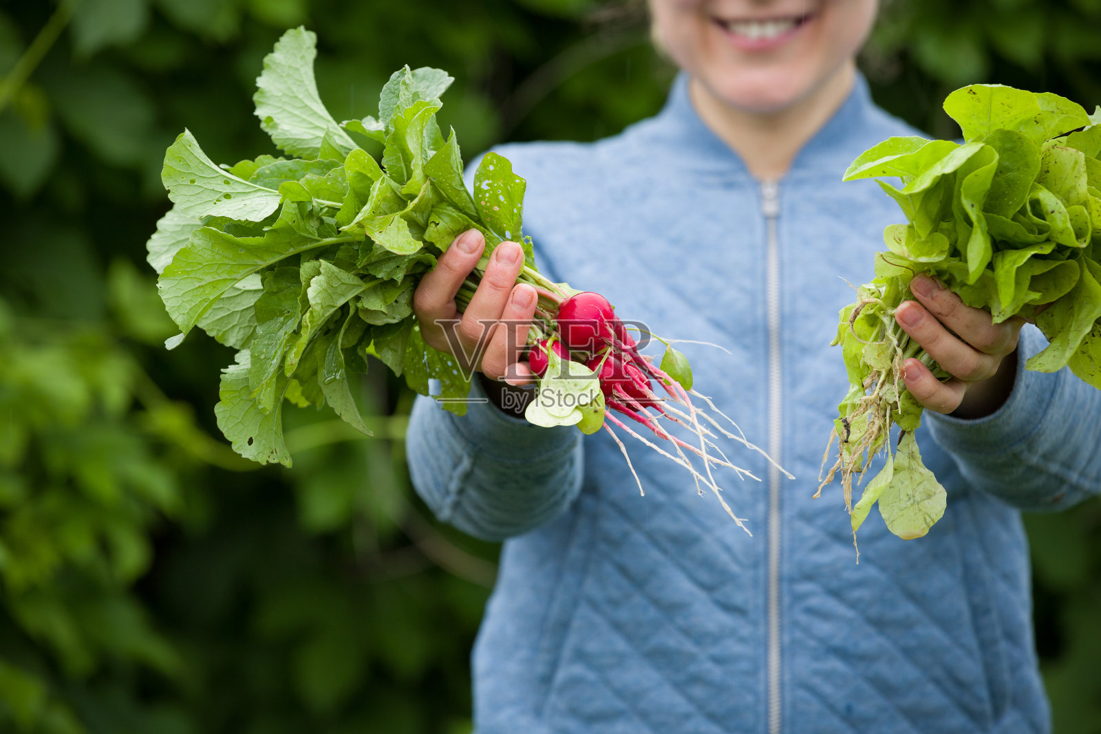 女人的手握一束有机萝卜和莴苣从花园的特写。有机蔬菜。农民们手拿新鲜收获的蔬菜和药草。健康饮食和生活方式的概念照片摄影图片